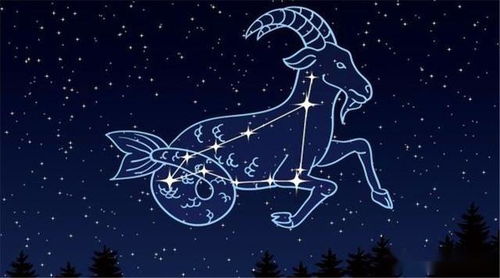座男跟什么星座最配对凯发·k8国际天秤